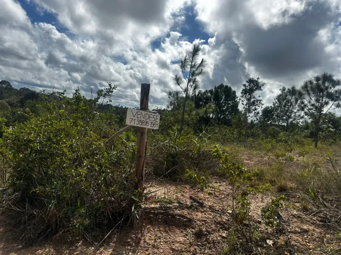 Terreno em Curralinho