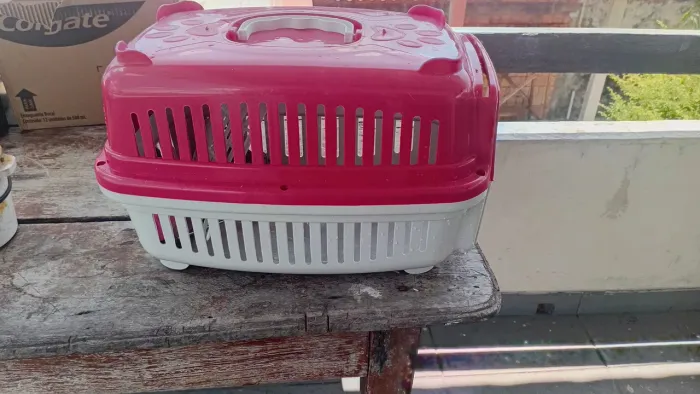 Deposito para carregar gato