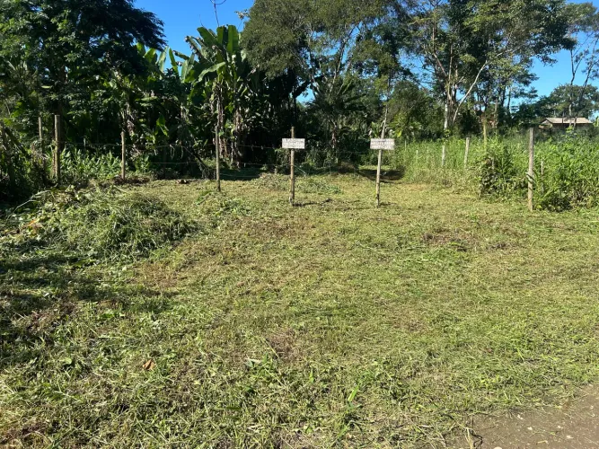 Vendo um terreno no sertão do taquari medida 23 de fundo e 10 de lateral valor 50.000 mil