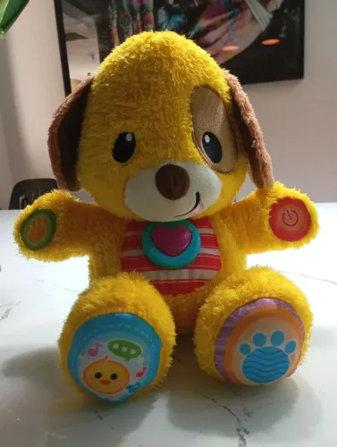 Vendo urso pelúcia, toca música