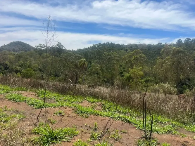 Atibaia / Portão: Terrenos Ideais para Morar ou Investir