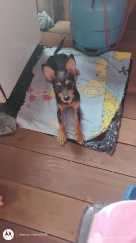 Doação Peti Beethoven 