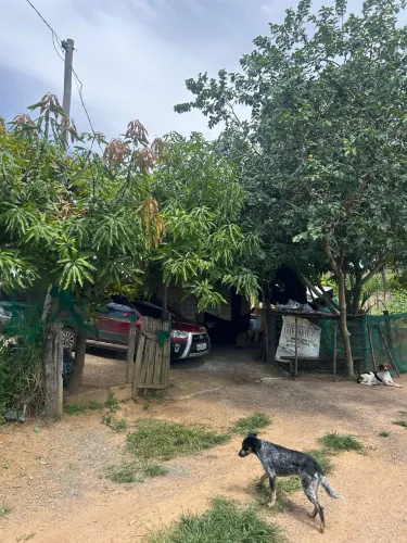 Vendo Excelente Chácara Em Alexânia Goiás 