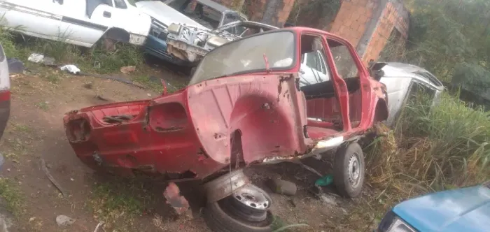 Vw Zé do Caixão Variant Tl 