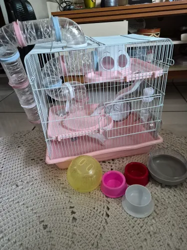 Gaiola Hamster Anão Russo