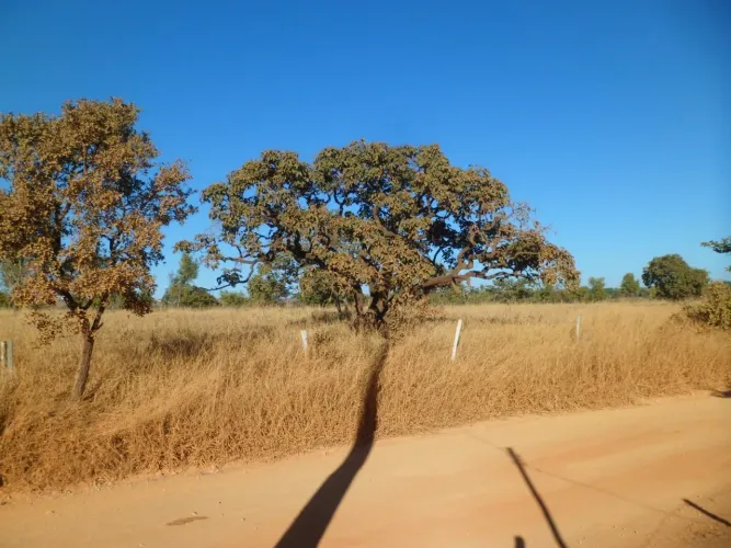 LOTE EM PARAOPEBA condomínio 