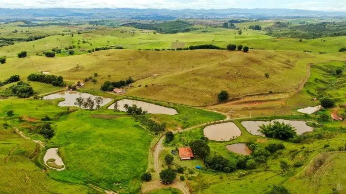 Fazenda 40 Alqueires Ideal Para Plantio e Gado de Corte em Cachoeira Paulista/SP