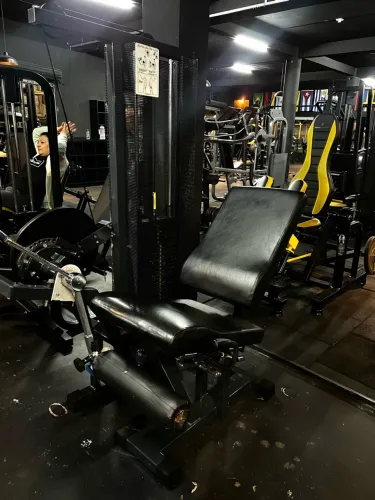 Cadeira Extensora Technogym Isotonic