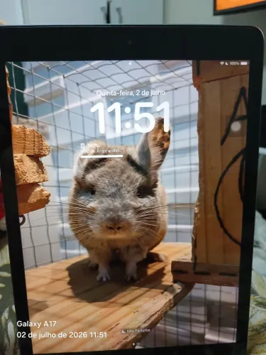 Ipad 8