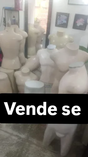 Maniqui masculino 13 busto e 12 cuequeira