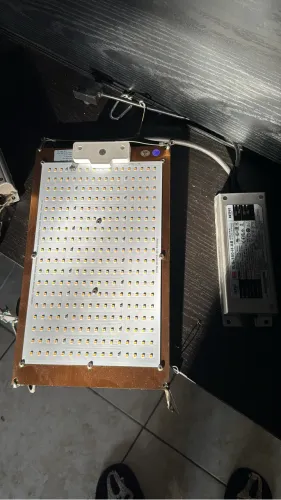 QUAMTUM BOARD SAMSUNG