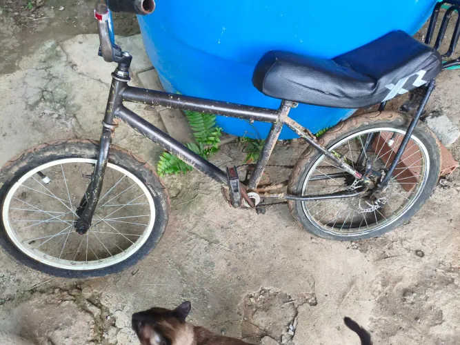 Bicicleta aro 20