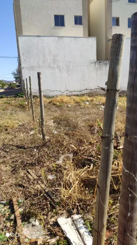 Estacas e arame farpado 