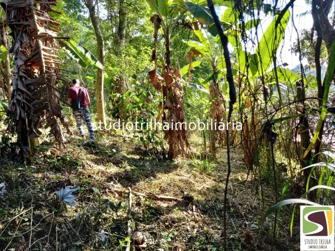 Terreno Barra Velha Ilhabela - Vista para o Mar e Escritura Definitiva