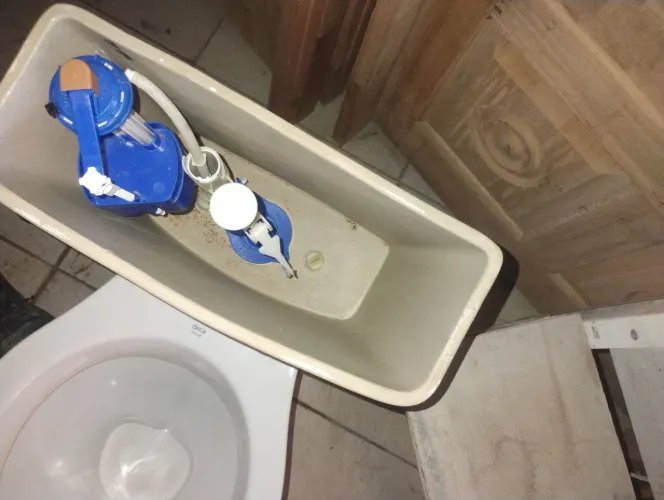 Vaso sanitário