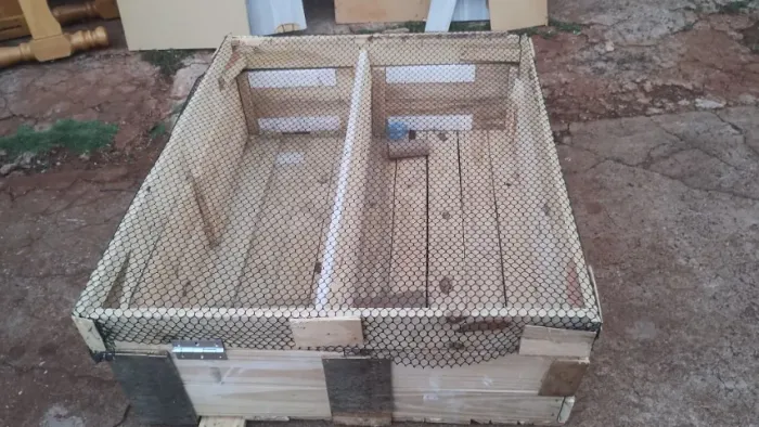Terrário para animais_hamsters,codornas, porquinho da índia