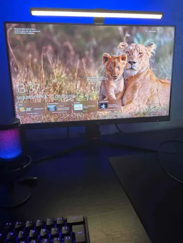 Monitor gamer 165hz