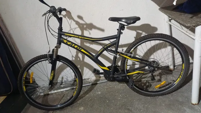 Bicicleta