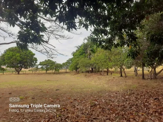 Gleba de terra à venda - Infraestrutura completa com casa sede / Bela Vista de Goiás-GO