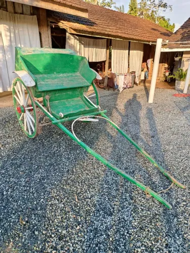 Charrete para cavalo DESAPEGO