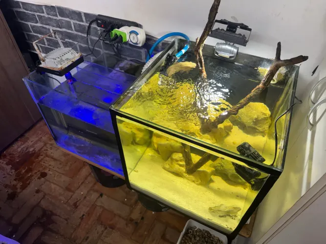 Aquário cubo 45x45 90 litros com sump externo 