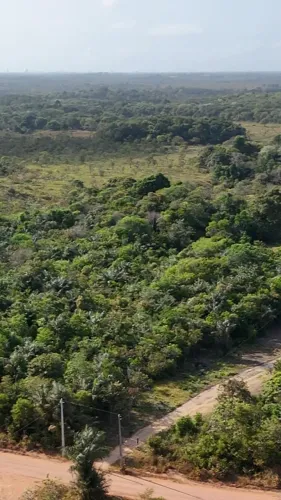 Imóvel para venda tem 90000 metros quadrados em Lagoa Azul - Macapá - AP