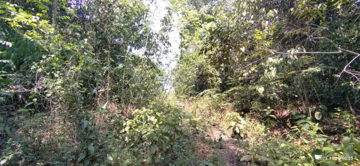 //Lote com 4000 M2 em Açutuba 