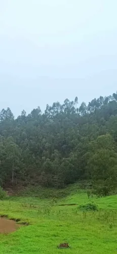 Black sitio Vista das Galáxias -R$ 75 mil-Vista Privilegiada-TROCO PARCELO-ACEITO