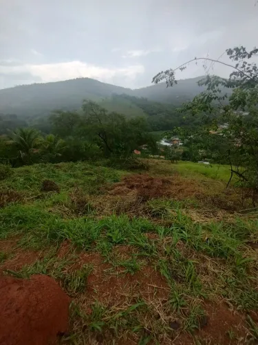 Vendo terreno em Simão Pereira!