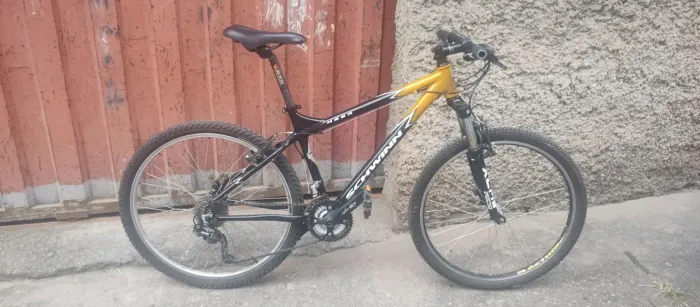 Schwinn Mesa
