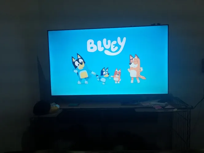 Tv TCL 43 polegadas 3 meses de uso  tel *51)