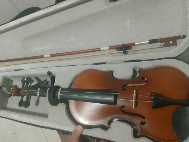 VIOLINO 