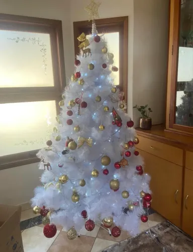 ÁRVORE DE NATAL 