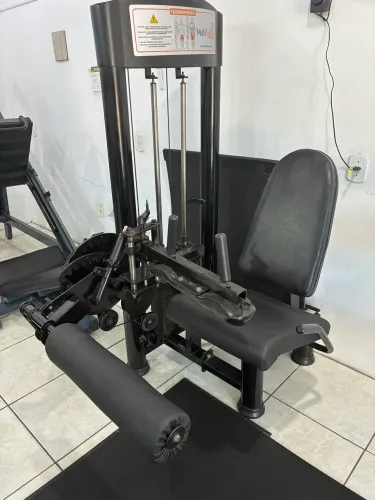 Máquina de academia flexora extensora