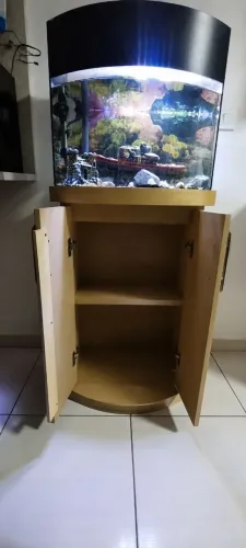 Aquário Curvo