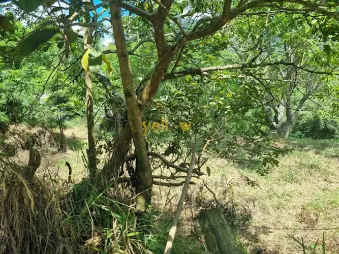 Rural Terreno Rural em Igaratá