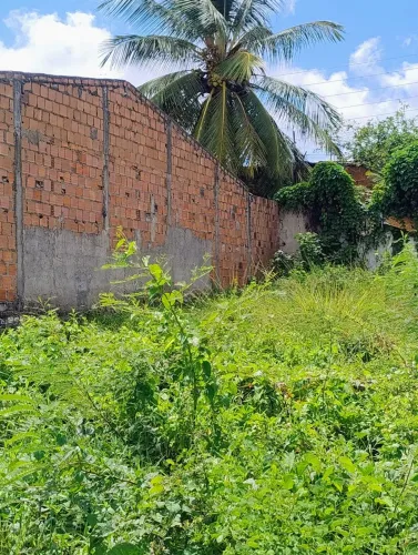 Terreno com documento 