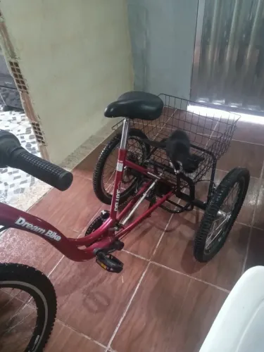 Bicicleta Triciclo