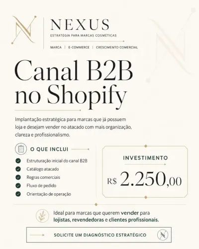 Canal B2B no Shopify