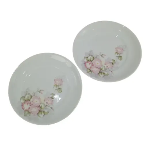 PAR PRATOS SOBREMESA PORCELANA SCHMIDT 17 CM FLORAL USADO