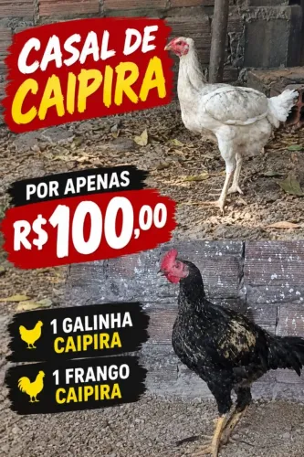 CASAL CAIPIRA