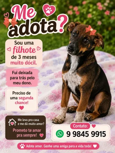 DOGUINHOS