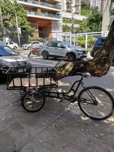 Bicicleta Triciclo De Carga Dianteira