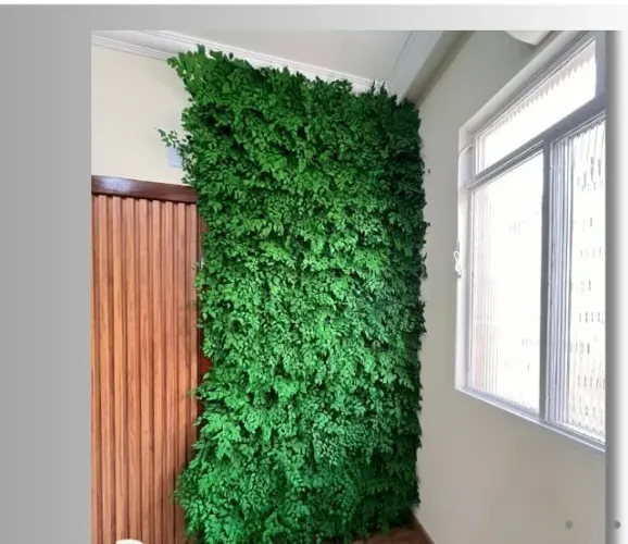 Jardim Vertical Natural Preservado (Avenca) - 3,7 m²