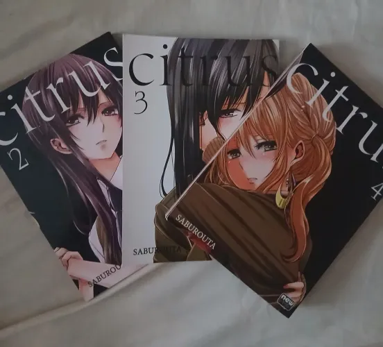 VENDAS DE MANGAS (preços na descrição e volumes)