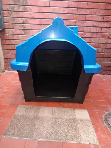 Casinha cachorro