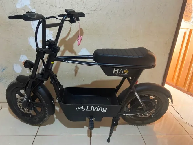 Bicicleta elétrica