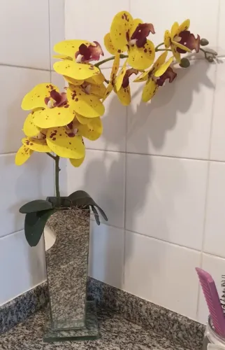 Vaso espelhado orquídea 