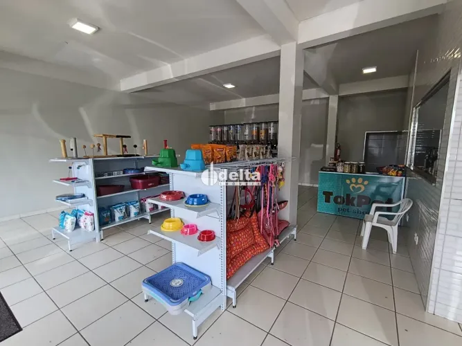 Loja disponível para locação no bairro São Jorge em Uberlândia-MG.