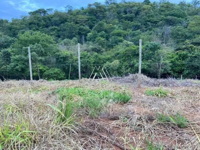 Vendo lote no Jadir Marinho com 300m² de área!